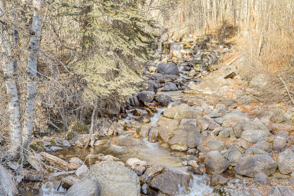 2 Mtn-View Decks! East Vail Unit By Trails & Bus Apartment in Vail