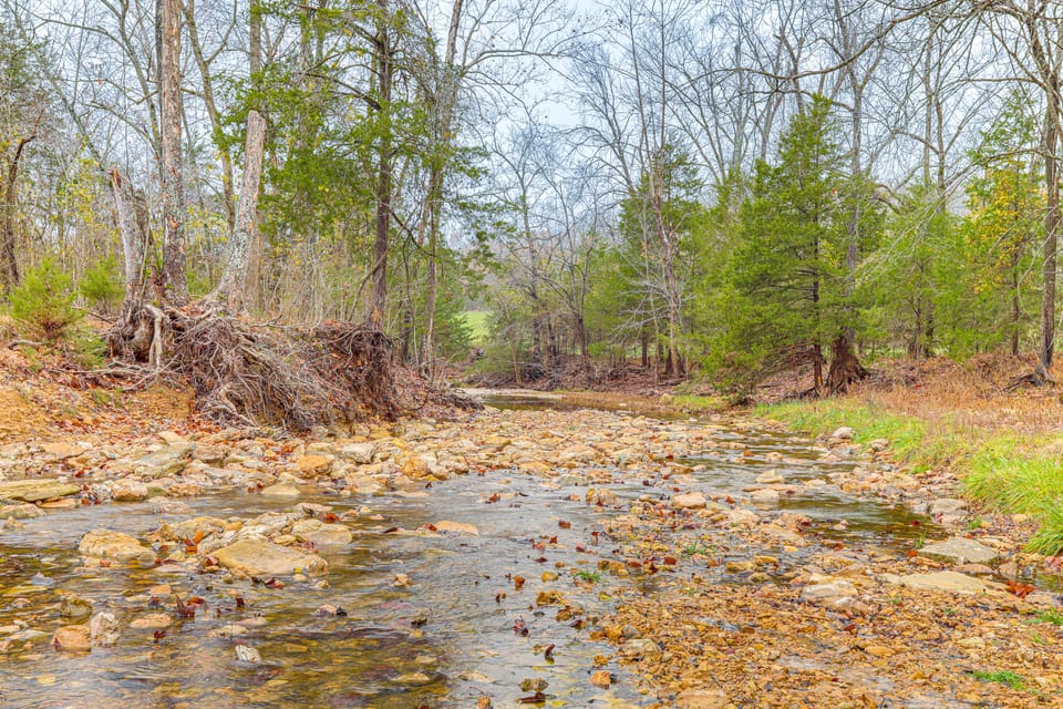 4,800-Sq-Ft Cabin w/ Creek Access in Caulfield House in Norfork Lake
