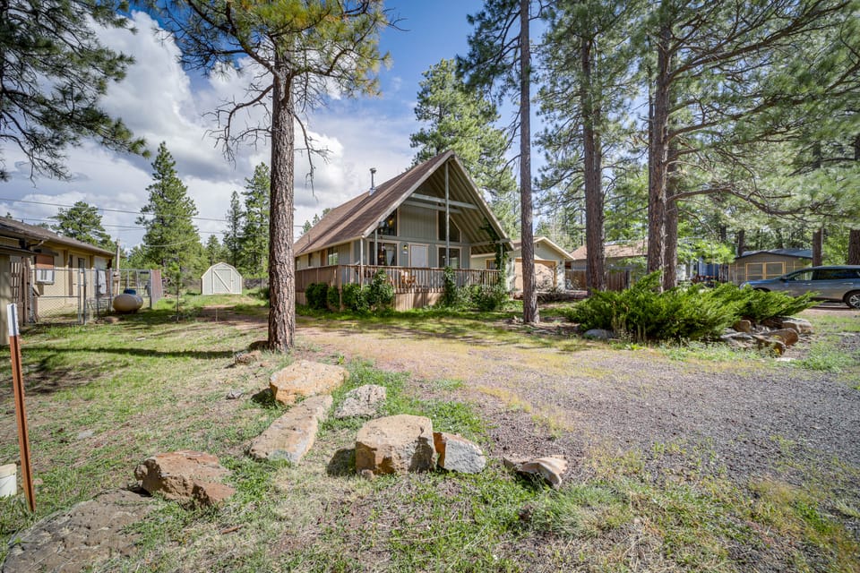 Forest-Front Munds Park Cabin w/ ATV Access House in Munds Park