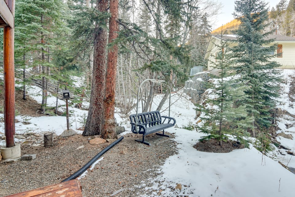 Creekside Colorado Getaway: Hike, Explore + Unwind House in Colorado