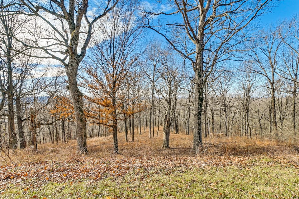 Spacious Shawnee Forest Hideaway! Hilltop Estate House in Kentucky