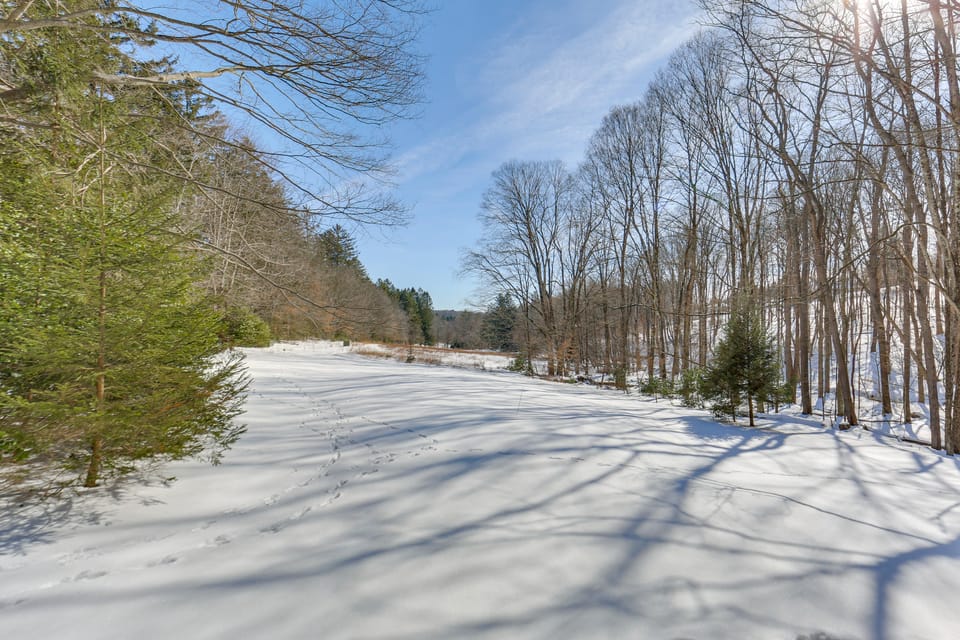 Brand-New Cabin: 5 Wooded Acres, 4 Mi to Ligonier! House in Pennsylvania