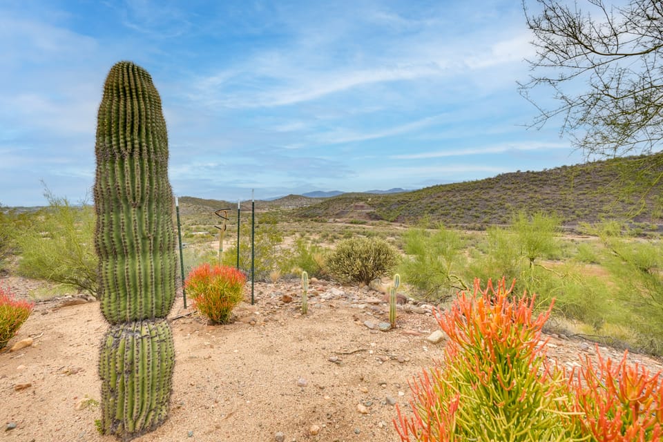 Cowboy Casita in Wickenburg! Equestrian Getaway Apartment in Arizona