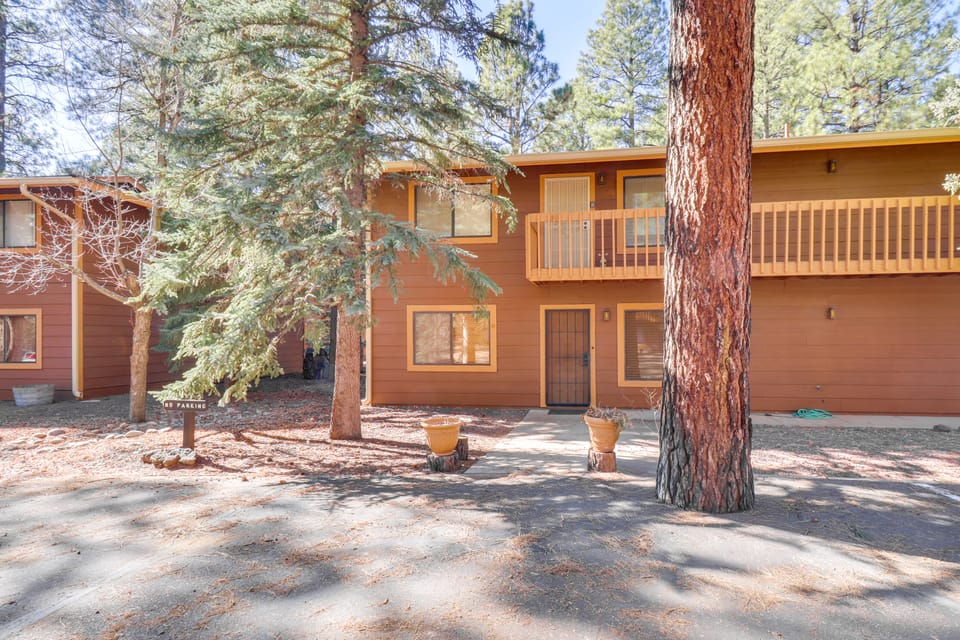 Moose in the Pines | Near Woodland Lake Park Apartment in Arizona
