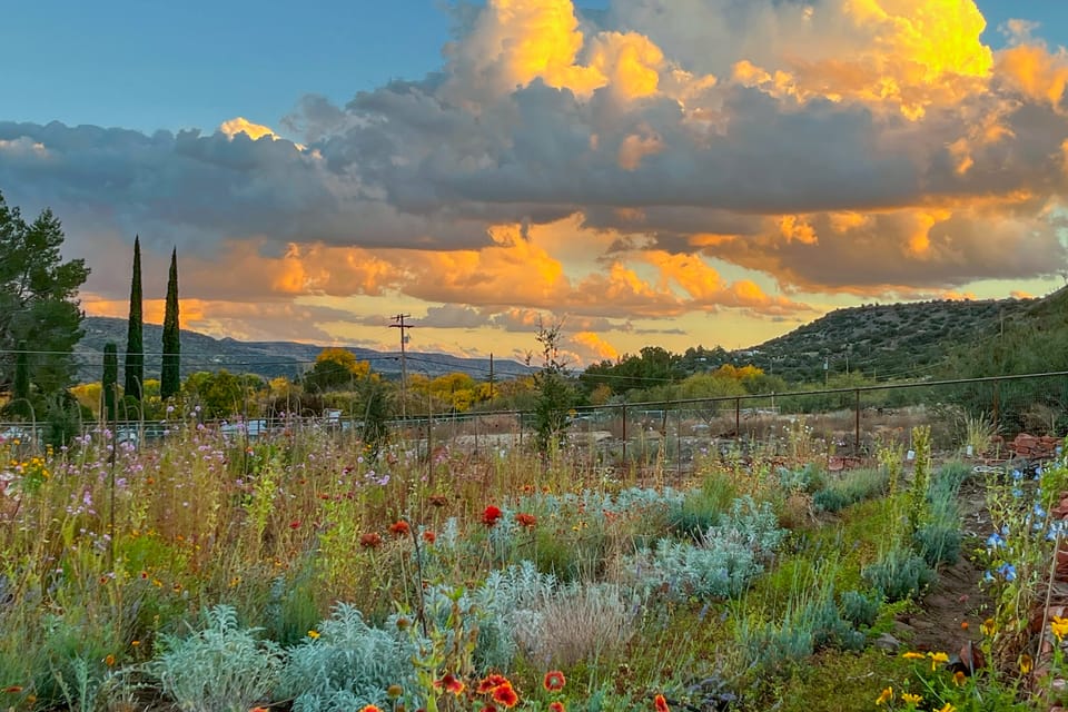 Group Retreat on Flower Farm Near Sedona Trails House in Cornville