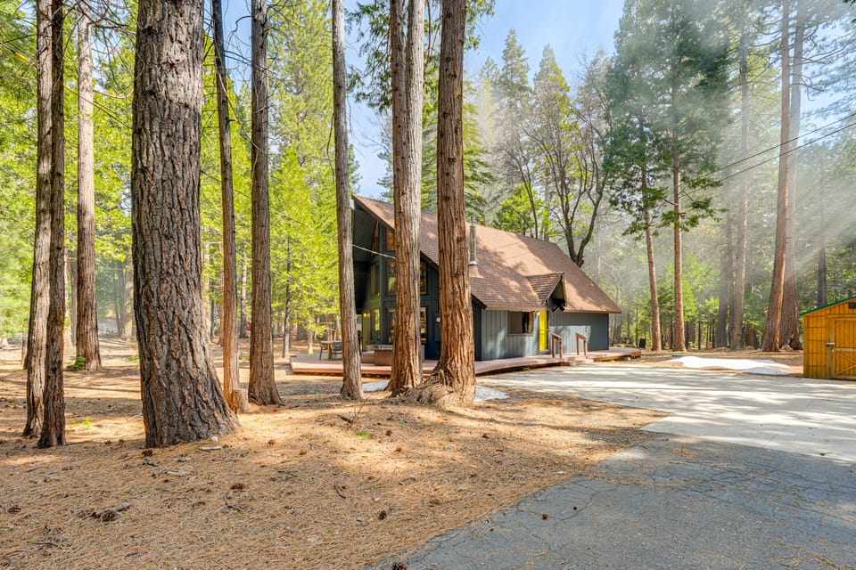 Modern Big Trees Family Cabin w/ Full Amenities House in Dorrington