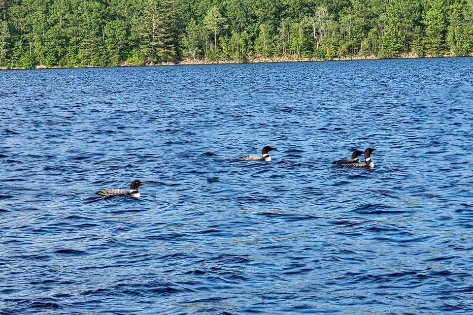 Waterfront Home w/ Access to Lake Anasagunticook! House in Maine
