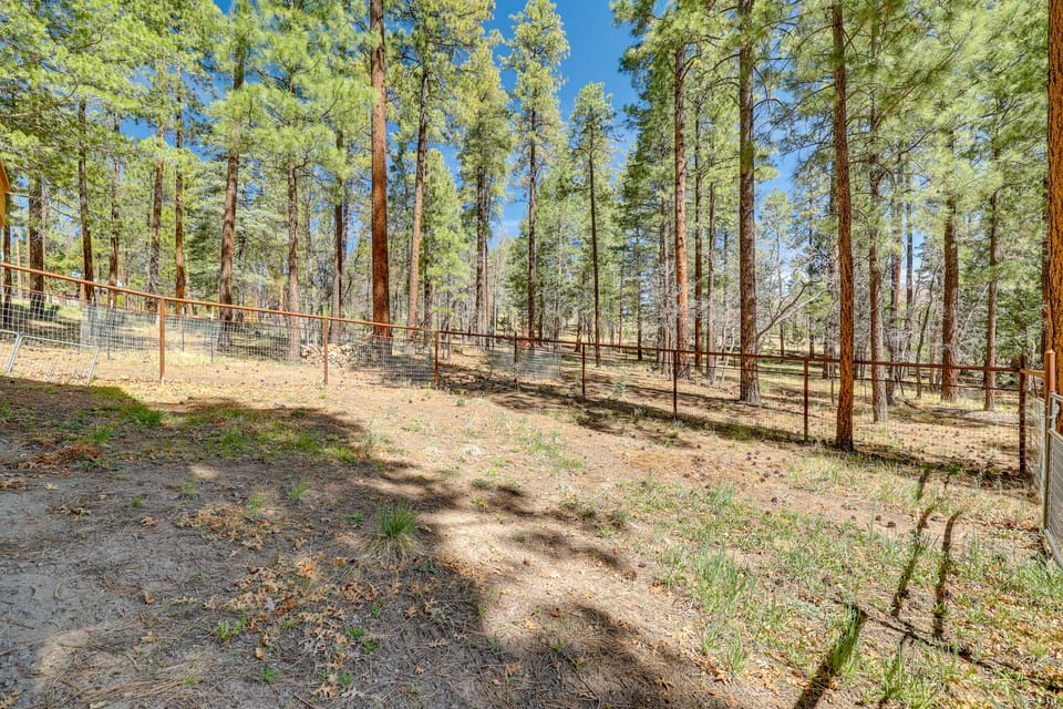 Escape to Alpine! Outstanding Cabin w/ Deck & Yard House in Arizona