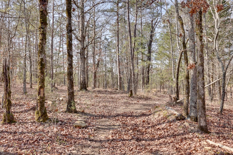 Quiet & Cozy Ouachitas Mtns Cabin w/ Trail Access Apartment in Arkansas