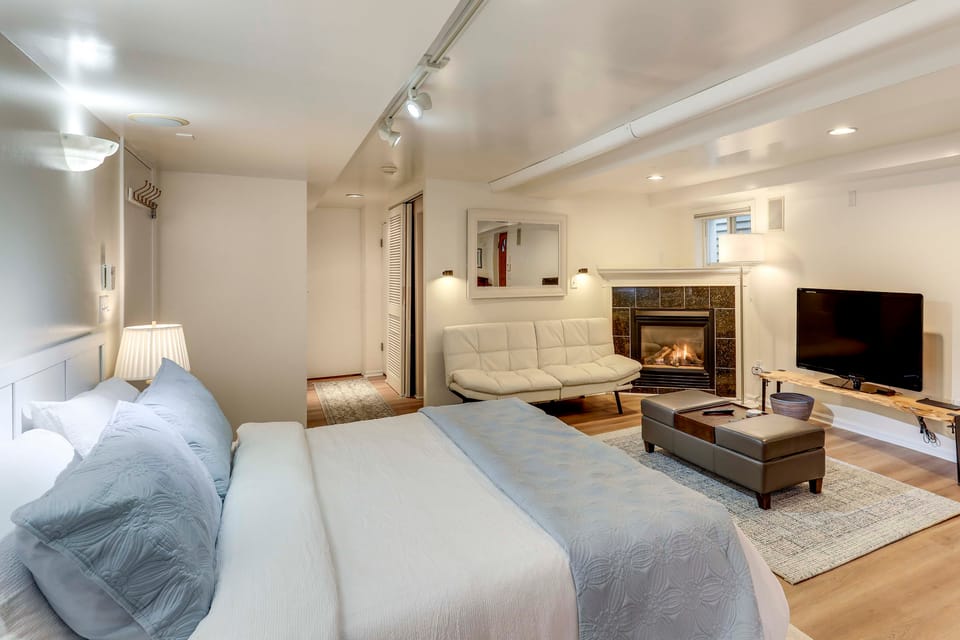 Walkable Green Lake Studio w/ Fireplace Apartment in Green Lake
