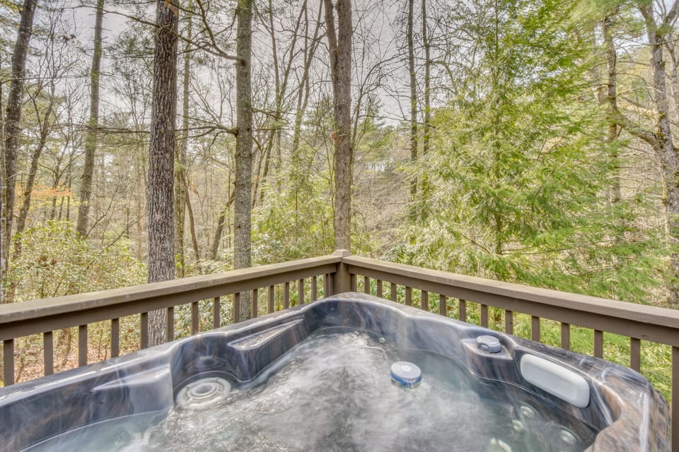 Private Hot Tub! Book-Lovers' Blue Ridge Retreat House in Georgia