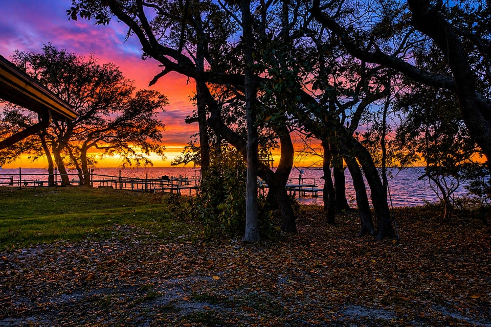 Cozy Bayfront Log Cabin! Fishing Pier, Swim Dock! Apartment in Alabama