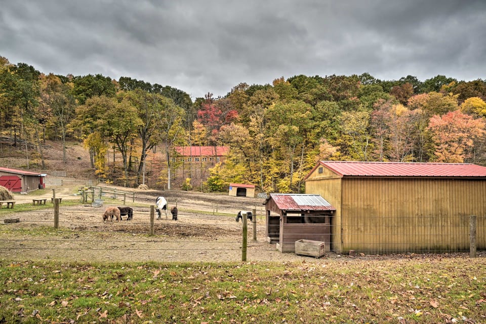 Near Raystown Lake! 3 Units at Urban Saddle Ranch House in Allegheny River