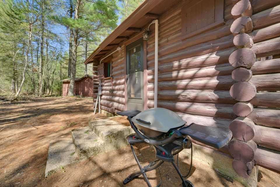 Nature Lover's Getaway: Studio by Pigeon River Apartment in Michigan