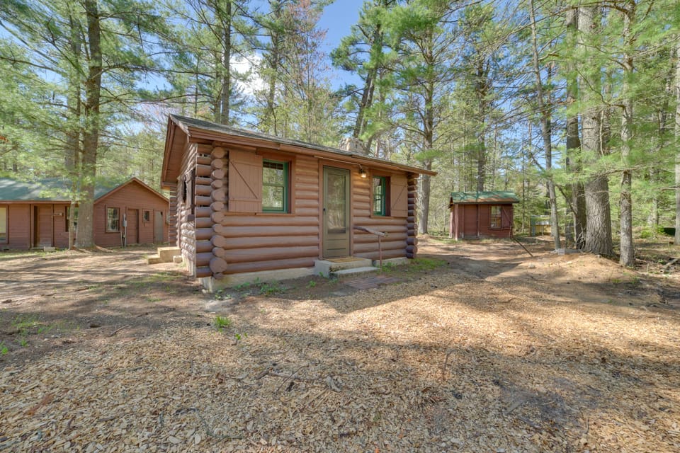 Nature Lover's Getaway: Studio by Pigeon River Apartment in Michigan
