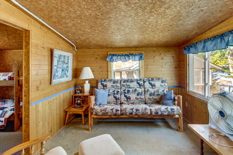 Resort Retreat on Gull Lake! Minnesota Cabin House in Minnesota