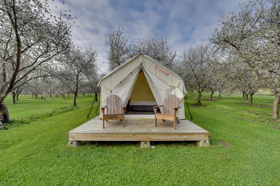 Sip & Stay! Cherry Orchard Yurt Near Torch Lake Apartment in Michigan