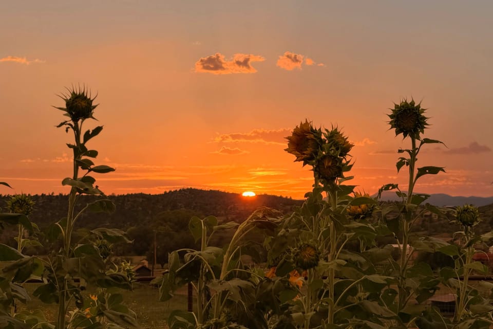 Equine-Friendly Stay: Horse Stable Access, Hot Tub House in Arizona
