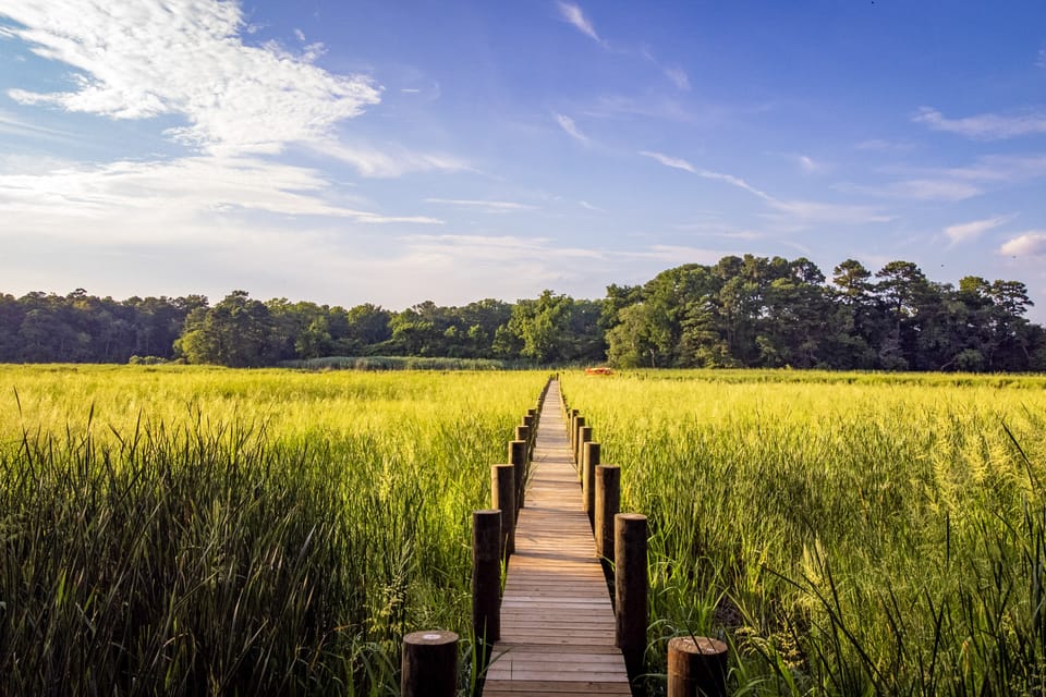 Creekside Nature Retreat on the Eastern Shore House in Maryland
