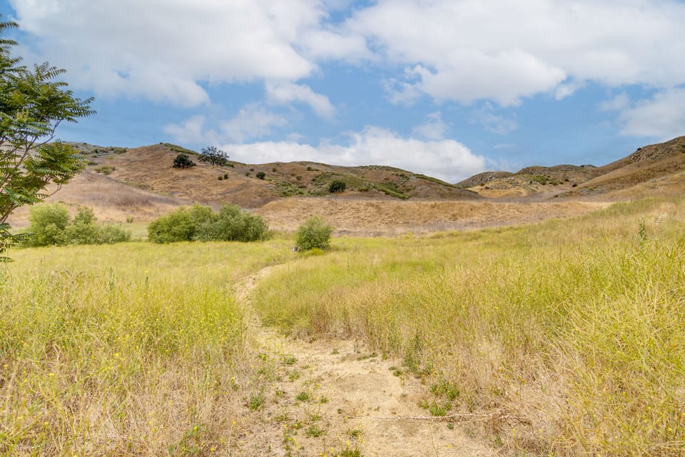 Calabasas Getaway Near Trails, Parks & the 101! House in Calabasas