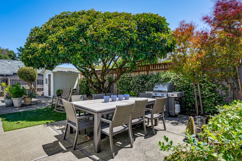 Walkable Mill Valley Gem: Private Patio + Yard House in Mill Valley