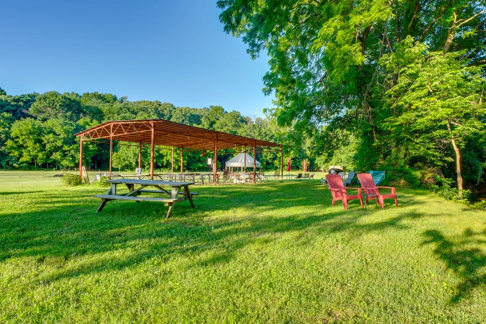 Fish & Hike the Ozarks! Black Ben Bear Cabin Apartment in Ozark Mountains