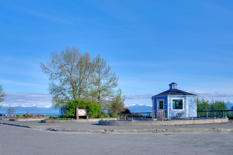 Whale Watch, Fish & Hike Glaciers! Homer Cabin House in Alaska