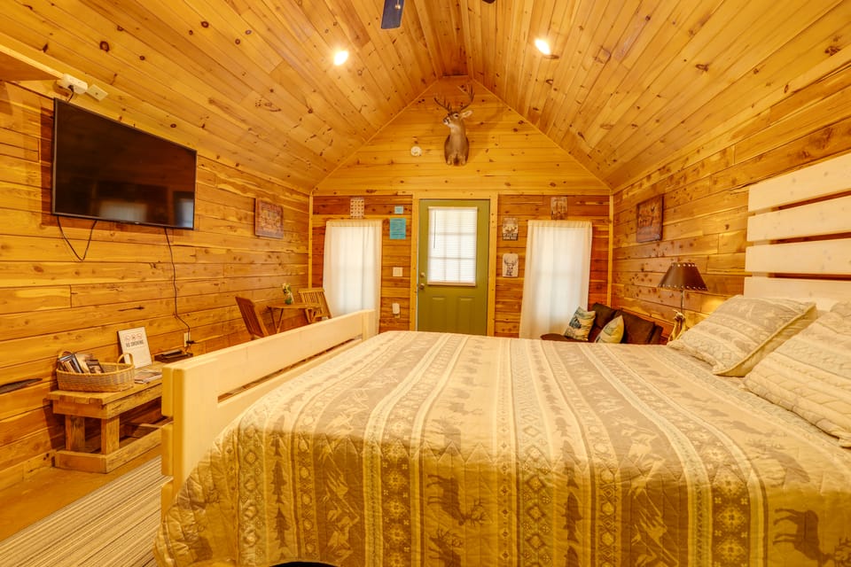 Near Trails! Ozark Mtn Hideaway w/ Fire Pit, Grill Apartment in Arkansas
