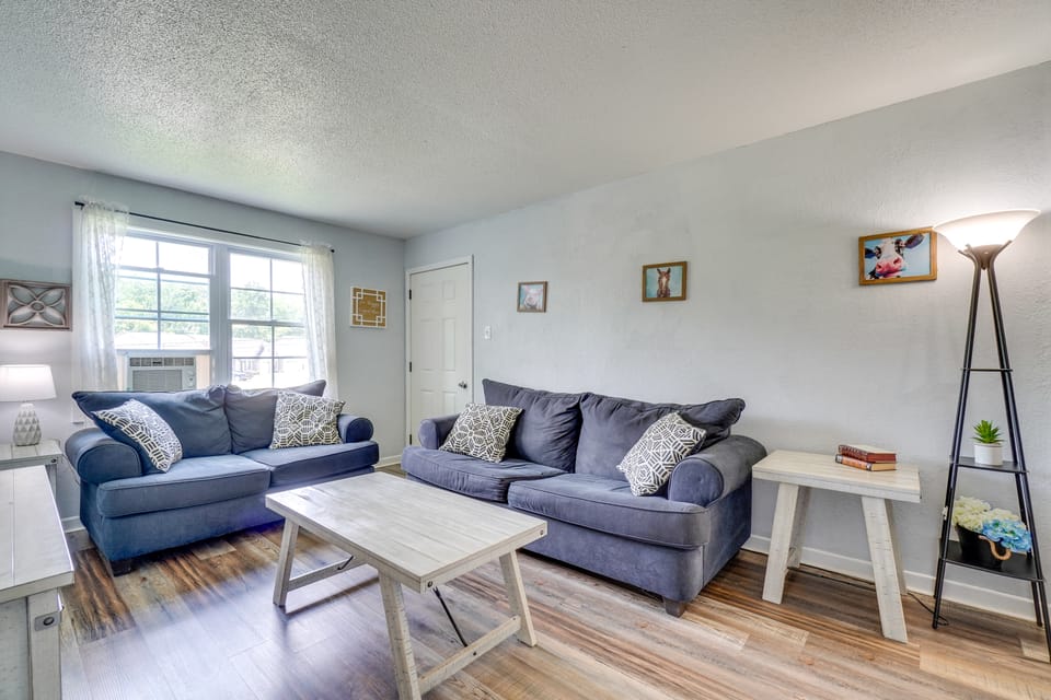 Near University of Tennessee & Downtown! Apartment in Knoxville