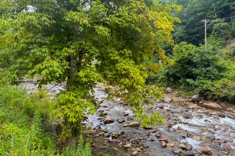 Riverfront Home w/ Mtn Views, Near Blue Ridge Pkwy House in East Fork
