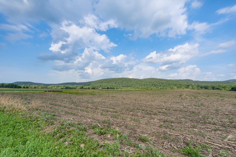 On 22 Acres! Retreat w/ Views in Burlington Flats House in New York
