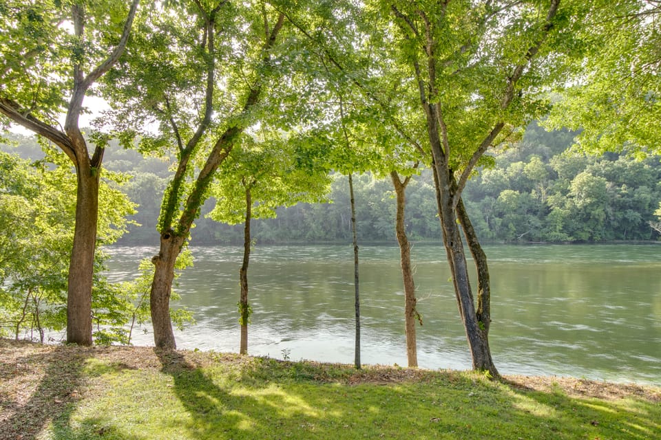 NEW! Riverfront Trout Fishing White River Ozarks House in Arkansas