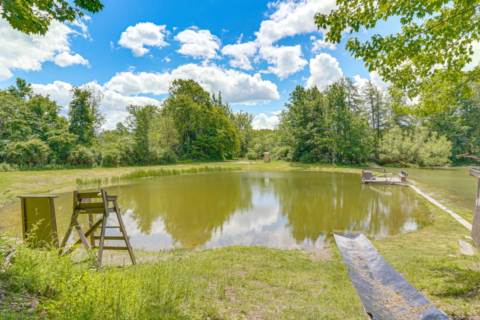 Fish, Slide & Unwind: Letchworth Valley Cabin! House in New York