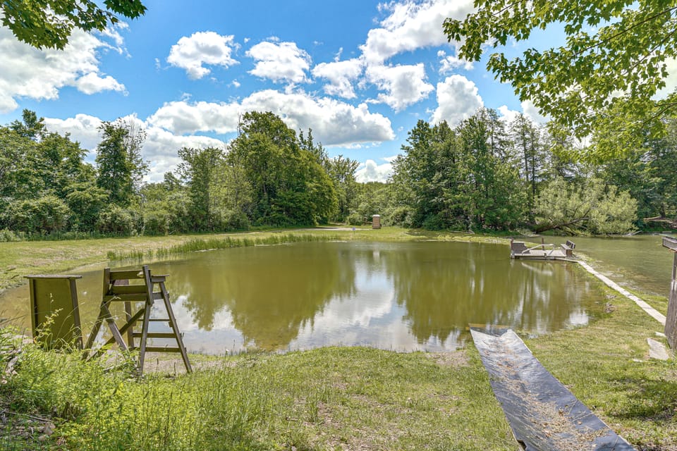Fish, Slide & Unwind: Letchworth Valley Cabin! House in New York