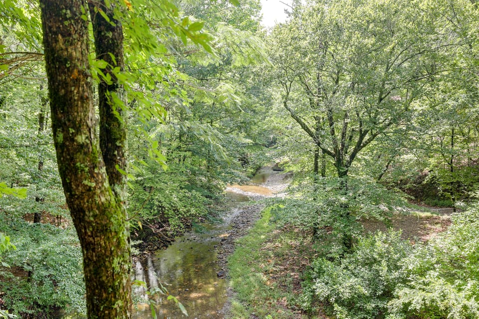 Remote Wolf Pen Gap ATV & Ouachita Hiking Base Apartment in Arkansas
