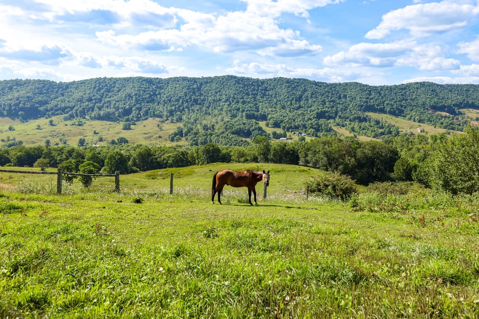 Historic Monterey Cabin on 230 Scenic Acres House in Shenandoah Valley