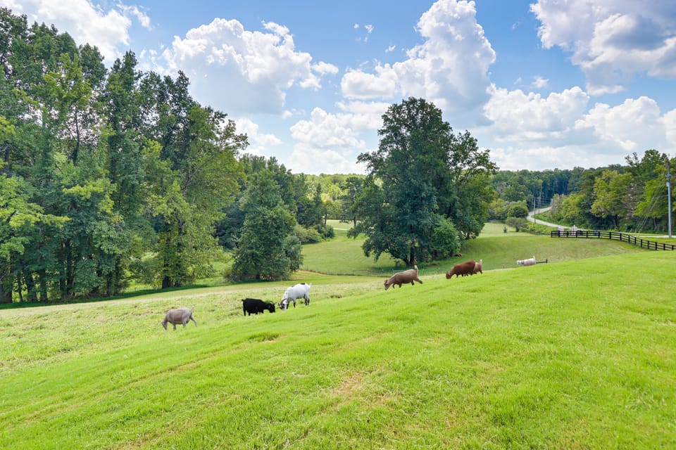 Hot Tub, Goats, 10 Mins to Sheriff's Jeep Fest! House in Georgia