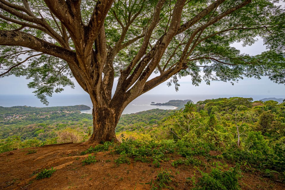 Luxe Ocean-View Hideaway in Carrillo House in Guanacaste Province
