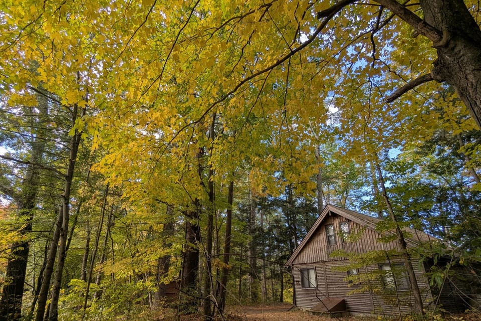 Log Home 3BR/1BA: Lakeside Patio & Dock in Brandon House in Addison County
