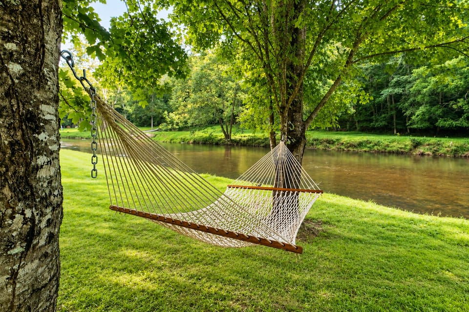 Creekside Cottage: Kayak, Tube, Fish, Remote work House in Virginia