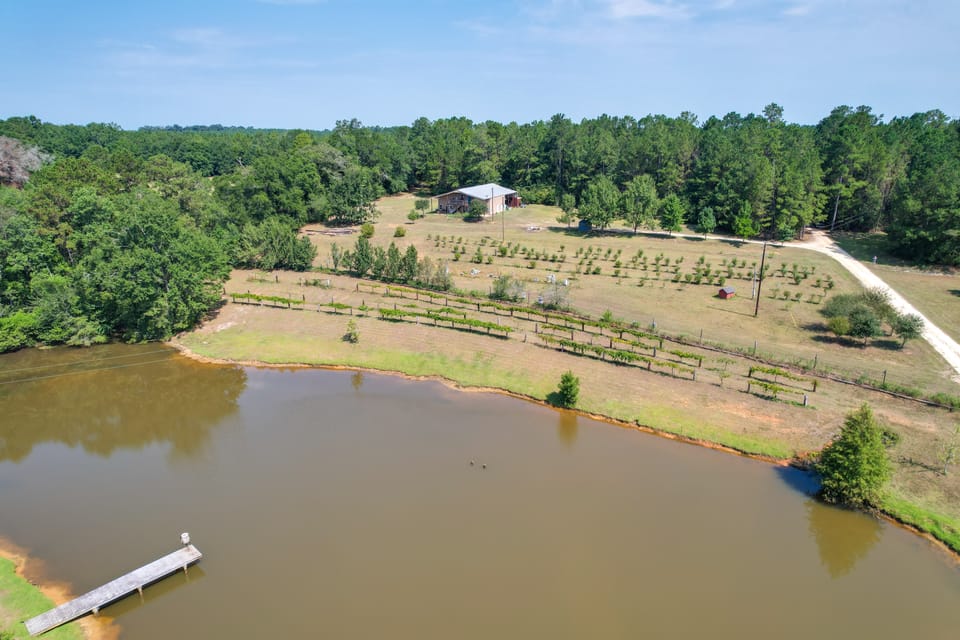 Orchard, Pond On-Site! Farm Stay Near Point A Lake Apartment in Alabama