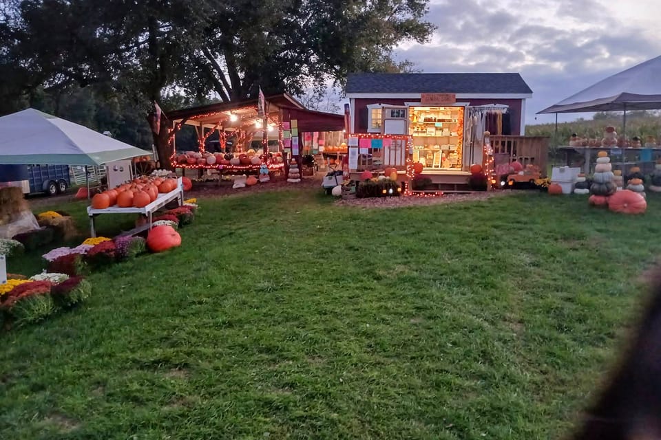 Cozy Highland Cow Retreat - 4 Mi to JMU House in Harrisonburg