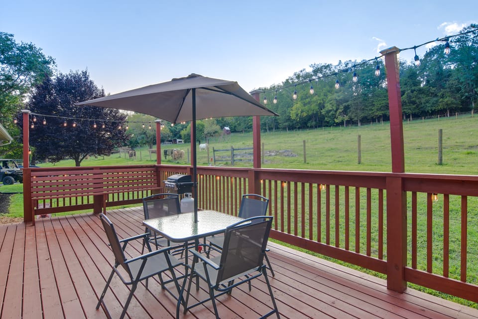 Cozy Highland Cow Retreat - 4 Mi to JMU House in Harrisonburg