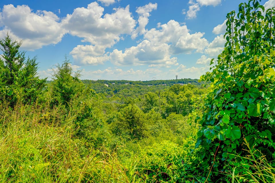 Perfect Location! Amazing Views & Close to It All! Apartment in Branson