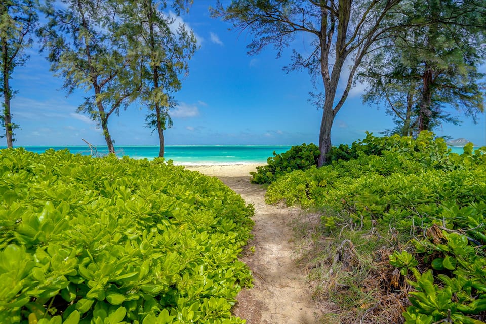 Waimanalo Beach Cottages - Large Studio, Unit 4 Cottage in Honolulu
