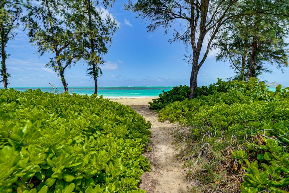 Monthly Base! Waimanalo Beach Cottages: Unit 6 Cottage in Honolulu