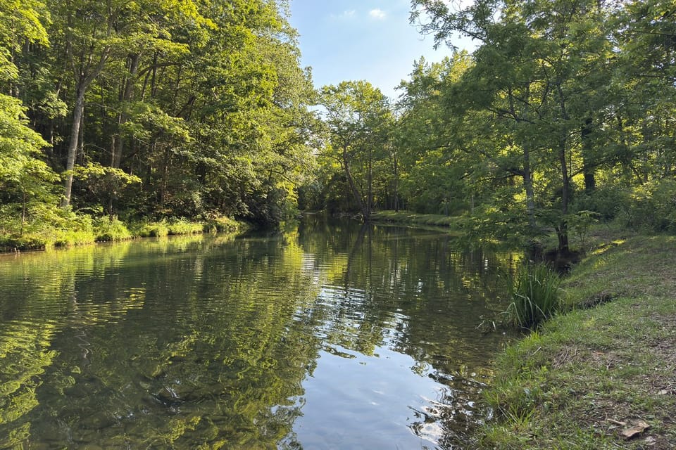 Fall Creek in Covington: 2-Unit Retreat House in Shenandoah Valley