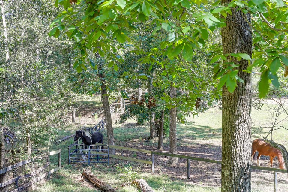 Quiet Horse Farm Hideaway Near Downtown Aiken Apartment in Aiken