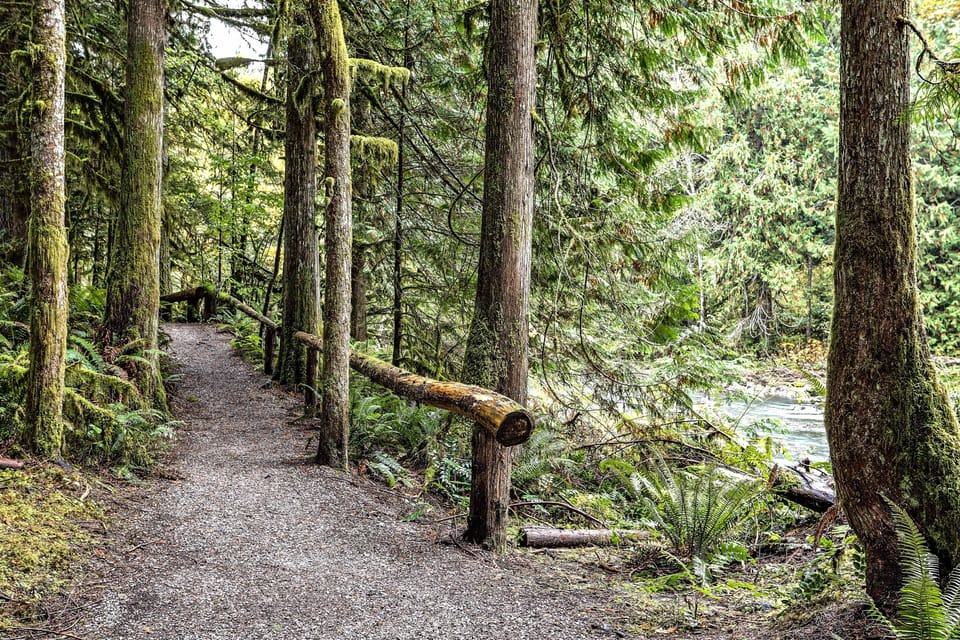 MOUNT BAKER CONDO-Pool/Hot Tub/Sauna Apartment in Glacier