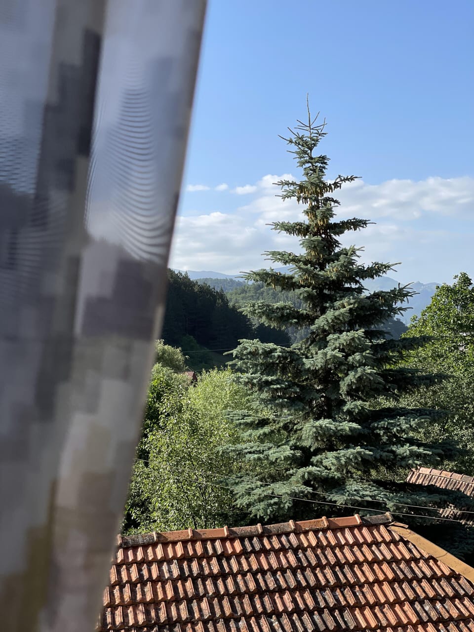 Economy Quadruple Room | View from room